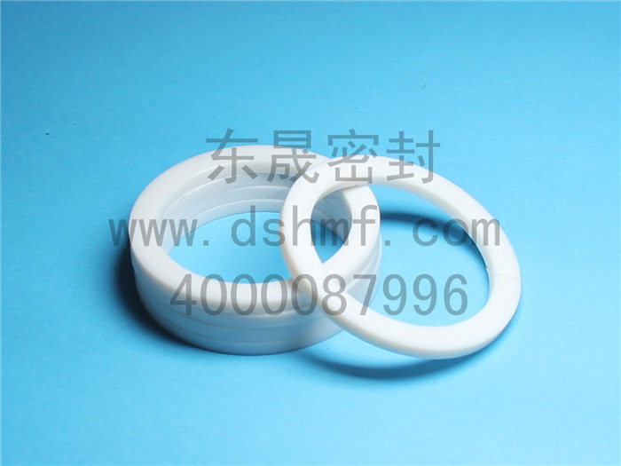PTFE，墊片，密封件產品