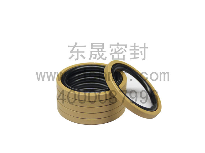 格萊圈,密封圈,密封件產(chǎn)品 格萊圈,密封圈,密封件產(chǎn)品