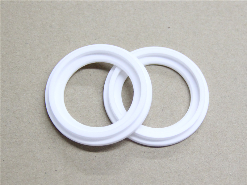 硬密封件,陶瓷密封件,產(chǎn)品 硬密封件,陶瓷密封件,產(chǎn)品