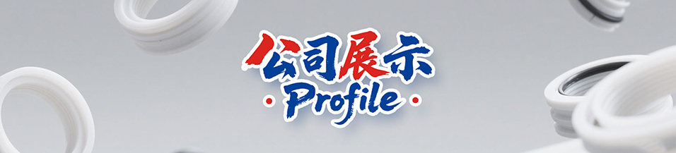 油封,密封件,密封圈,液壓密封件,東莞密封件廠家-廣東東晟密封件公司