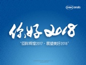 東晟密封件“回眸輝煌2017·展望美好2018！”