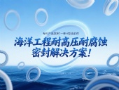 專利產品案例 ? 一種H型油封件:海洋工程耐高壓耐腐蝕的密封解決方案!